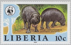 Colnect-3494-495-Pygmy-Hippopotamus-Choeropsis-liberiensis.jpg