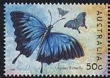 Colnect-457-375-Mountain-Swallowtail-Papilio-ulysses-ssp-joesa.jpg