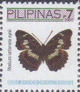 Colnect-2890-922-Commander-Butterfly-Moduza-urdaneta-aynii.jpg