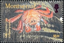 Colnect-1530-025-Sally-Lightfoot-Crab-Grapsus-grapsus.jpg