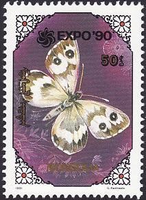 Colnect-1271-312-Moth-Karanasa-regeli.jpg