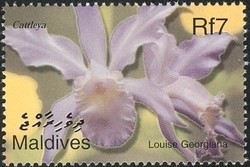 Colnect-961-880-Flora-of-the-Maldives---Cattleya.jpg