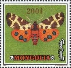 Colnect-1261-431-Garden-Tiger-Moth-Arctia-caja.jpg
