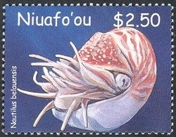 Colnect-1538-312-Palau-Nautilus-Nautilus-belauensis.jpg