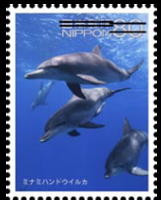 Colnect-1993-177-Indo-Pacific-Bottlenose-Dolphin-Tursiops-aduncus.jpg