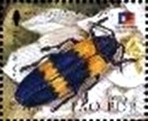Colnect-2541-506-Jewel-Beetle-Chrysochroa-mniszechi.jpg