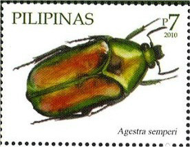 Colnect-2853-284-Beetle-Agestra-semperi.jpg