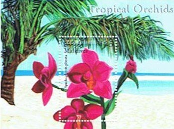 Colnect-6286-305-Tropical-Orchids.jpg