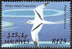 Colnect-961-805-White-tailed-Tropicbird-Phaethon-lepturus.jpg