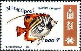 Colnect-1281-269-Threadfin-Butterflyfish-Chaetodon-auriga.jpg