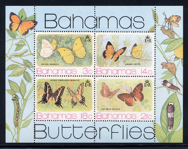 Skap-bahamas_01_butterflies_373a_ss.jpg