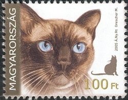 Colnect-500-310-Siamese-Cat-Felis-silvestris-catus.jpg