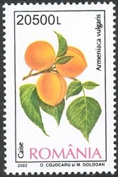 Colnect-758-115-Apricot-Armeniaca-vulgaris.jpg