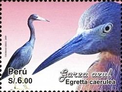 Colnect-1594-993-Little-Blue-Heron-Egretta-caerulea.jpg