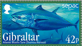 Colnect-2165-659-Atlantic-Bluefin-Tuna-Thunnus-thynnus.jpg