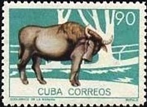 Colnect-1974-016-Asian-Water-Buffalo-Bubalus-arnee-bubalis.jpg