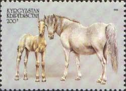 Colnect-990-639-Arabian-Thoroughbred-Equus-ferus-caballus.jpg