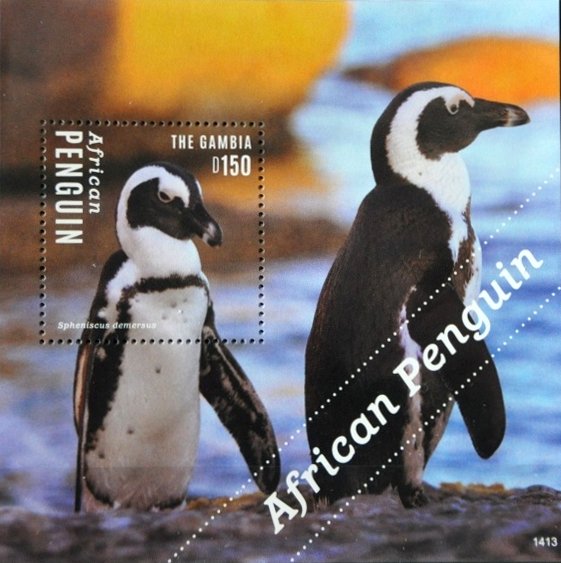 Colnect-3526-265-African-Penguin-nbsp-Spheniscus-demersus.jpg
