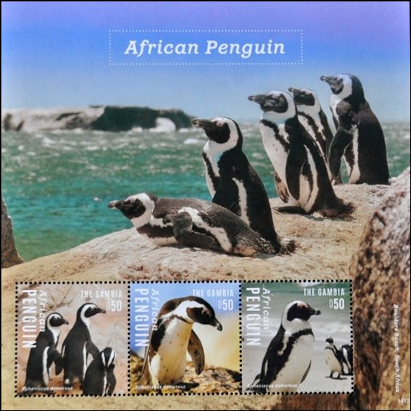 Colnect-3526-268-African-Penguin-nbsp-Spheniscus-demersus.jpg