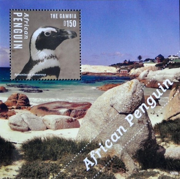 Colnect-3526-273-African-Penguin-nbsp-Spheniscus-demersus.jpg