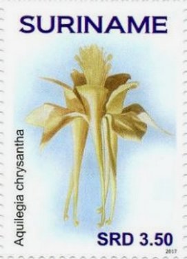 Colnect-4181-049-Aquilegia-chrysantha.jpg