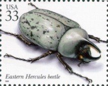 Colnect-201-328-Eastern-Hercules-Beetle-Dynastes-tityus.jpg