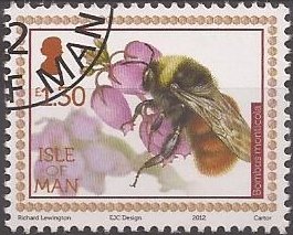 Colnect-2911-060-Mountain-Bumblebee-Bombus-monticola-.jpg