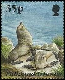 Colnect-1674-592-South-American-Fur-Seal-Arctocephalus-australis.jpg