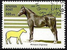 Colnect-1104-936-Horse-Equus-ferus-caballus-Miohippus-Oligocene.jpg