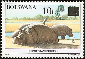 Colnect-1218-078-Hippopotamus-Hippopotamus-amphibius.jpg