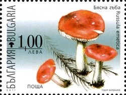 Colnect-1389-984-Poisonous-Mushrooms---Russula-emetica.jpg
