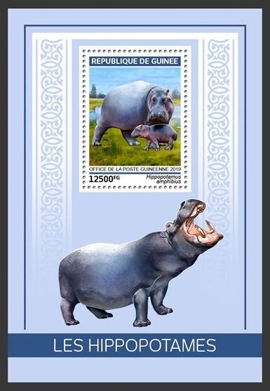 Colnect-5969-139-Hippopotamus-Hippopotamus-amphibius.jpg