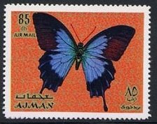 Colnect-1559-342-Ulysses-Butterfly-Papilio-ulysses.jpg