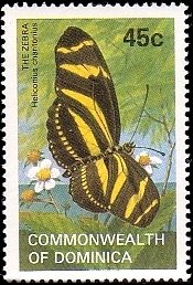 Colnect-1789-160-Zebra-Longwing-Butterfly-Heliconius-charithonia.jpg