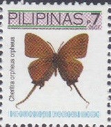 Colnect-2890-962-Imperial-Butterfly-Cheritra-orpheus.jpg