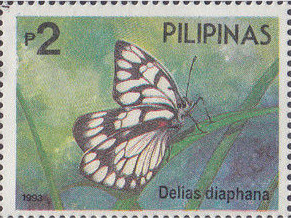 Colnect-2918-257-Jezebel-Butterfly-Delias-diaphana.jpg