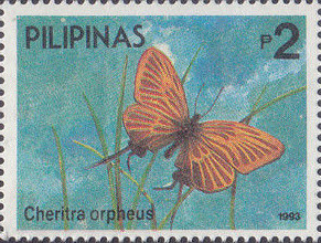 Colnect-2918-285-Imperial-Butterfly-Cheritra-orpheus.jpg