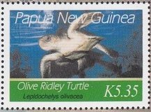Colnect-4217-898-Young-Olive-Ridley-turtle-swimming.jpg