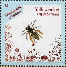 Colnect-3276-756-German-Wasp-Vespula-germanica.jpg
