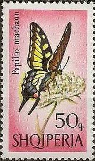 Colnect-452-954-Old-World-Swallowtail-Papilio-machaon.jpg