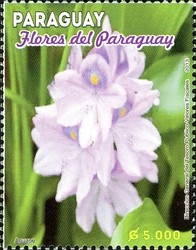 Colnect-2373-300-Flowers-from-Paraguay.jpg
