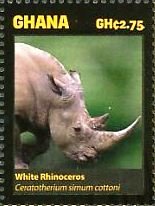Colnect-4241-268-White-rhinoceros.jpg