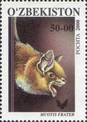 Colnect-813-300-Long-tailed-Whiskered-Bat-Myotis-frater.jpg