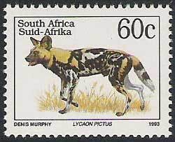 Colnect-800-936-African-Wild-Dog-Lycaon-pictus.jpg