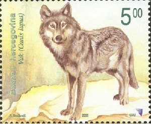 Colnect-1283-799-Wolf-Canis-lupus.jpg