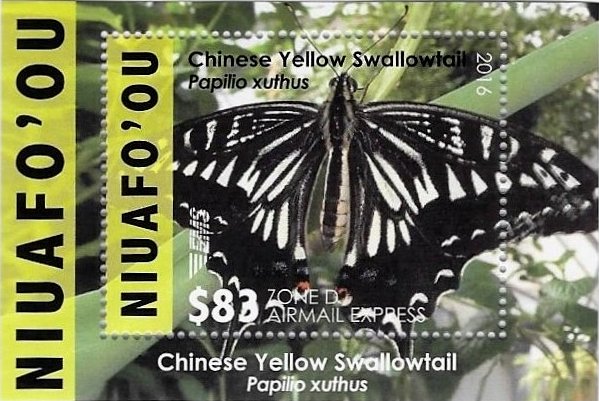 Colnect-4340-874-Chinese-Yellow-Swallowtail-Papilio-xuthus.jpg