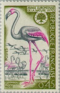 Colnect-144-702-European-Year-of-nature-flamingo.jpg