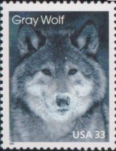 Colnect-201-216-Gray-Wolf-Canis-lupus.jpg