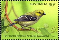 Colnect-2180-095-Forty-Spotted-Pardelote.jpg