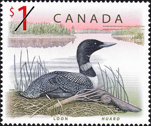 Colnect-735-021-Loon.jpg